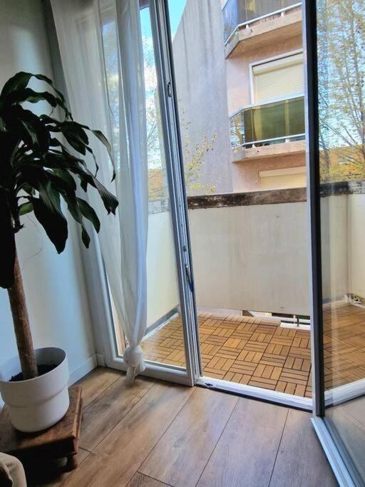 Appartement Cosy A 5 Min Des Plages Hyères Exterior foto
